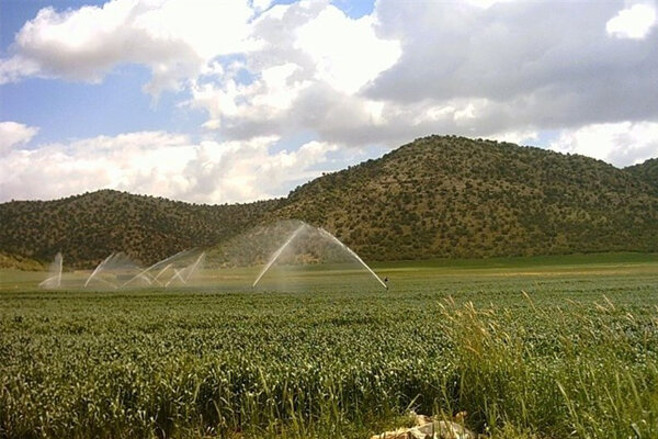 مراغه ميزبان سي و دومين اجلاس سالانه موسسه تحقيقات کشاورزي ديم کشور