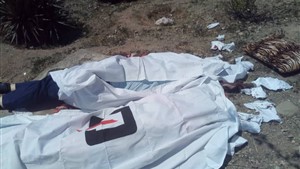 قتل 2 نفر بر سر شيشه قليان