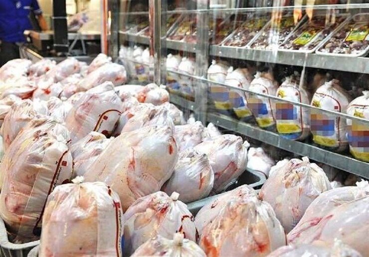 صادرات مرغ ايراني به عراق با حمايت دولت